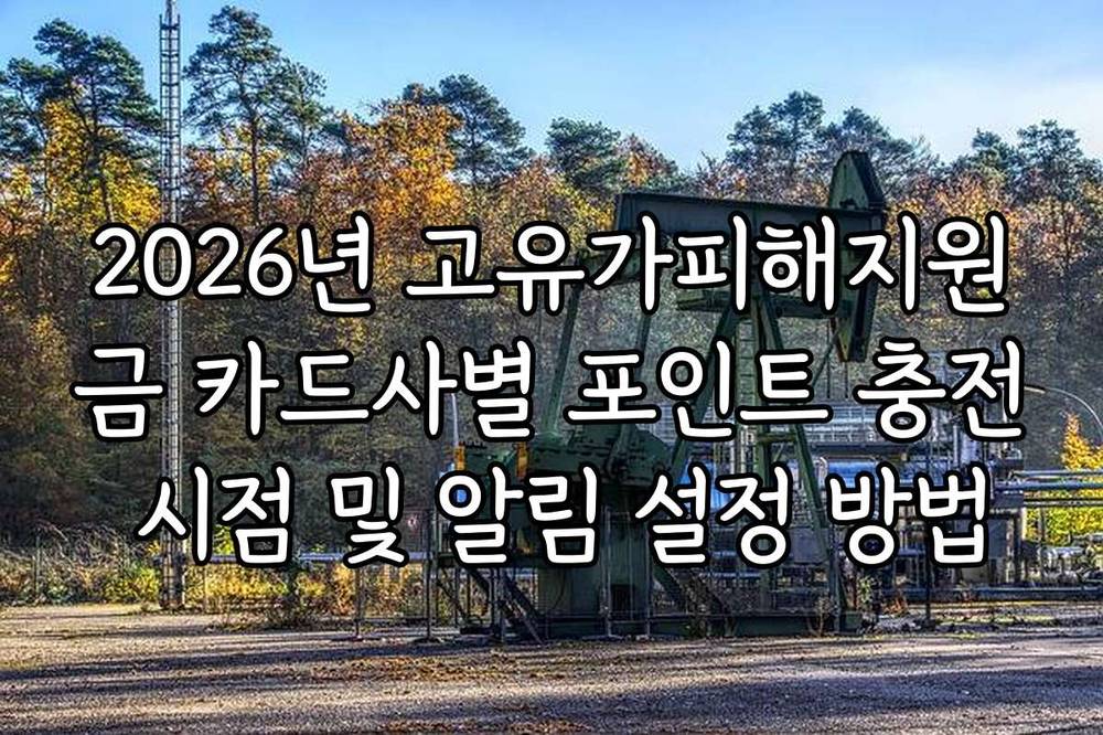 2026년 고유가피해지원금 카드사별 포인트 충전 시점 및 알림 설정 방법