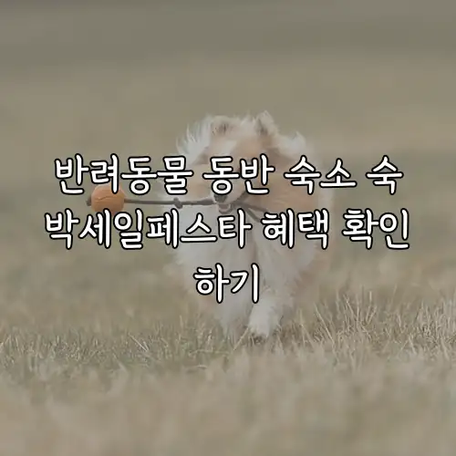 반려동물 동반 숙소 숙박세일페스타 혜택 확인하기