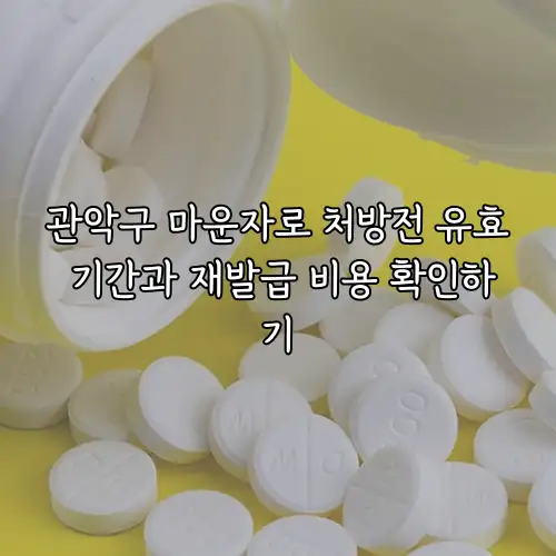 관악구 마운자로 처방전 유효 기간과 재발급 비용 확인하기