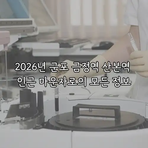2026년 군포 금정역 산본역 인근 마운자로의 모든 정보