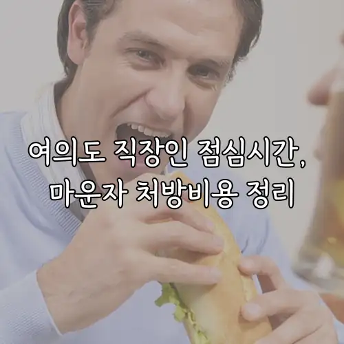 여의도 직장인 점심시간, 마운자 처방비용 정리