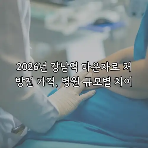 2026년 강남역 마운자로 처방전 가격, 병원 규모별 차이