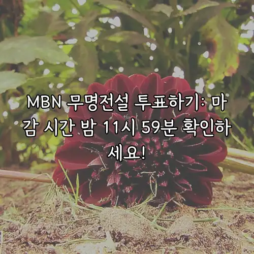 MBN 무명전설 투표하기: 마감 시간 밤 11시 59분 확인하세요!