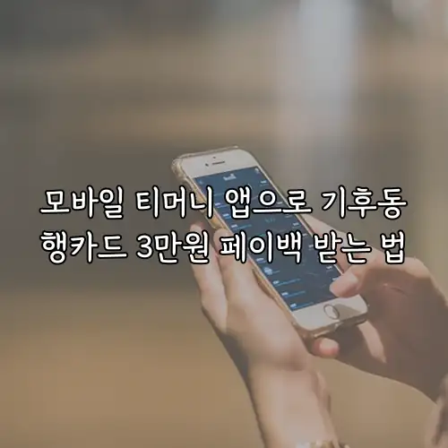 모바일 티머니 앱으로 기후동행카드 3만원 페이백 받는 법