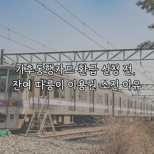 기후동행카드 환급 신청 전, 잔여 따릉이 이용권 소진 이유