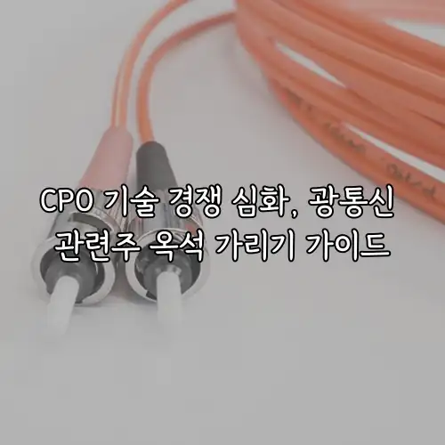 CPO 기술 경쟁 심화, 광통신 관련주 옥석 가리기 가이드