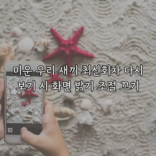 미운 우리 새끼 최신회차 다시보기 시 화면 밝기 조절 끄기