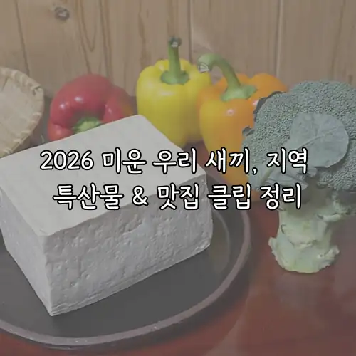 2026 미운 우리 새끼, 지역 특산물 & 맛집 클립 정리