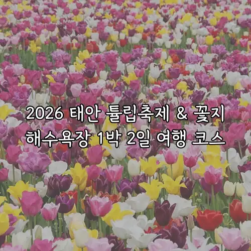 2026 태안 튤립축제 & 꽃지해수욕장 1박 2일 여행 코스