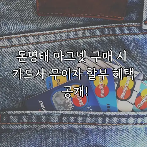 돈명태 마그넷 구매 시 카드사 무이자 할부 혜택 공개!