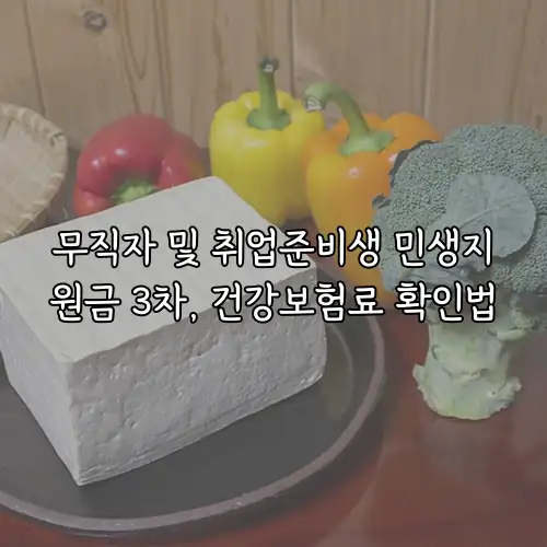 무직자 및 취업준비생 민생지원금 3차, 건강보험료 확인법