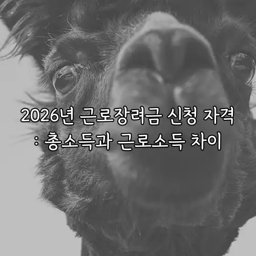 2026년 근로장려금 신청 자격: 총소득과 근로소득 차이