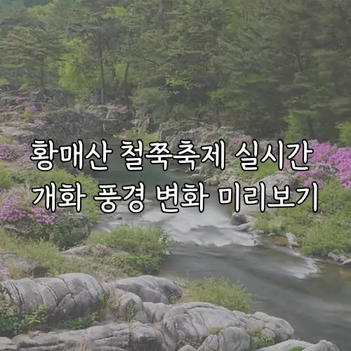 황매산 철쭉축제 실시간 개화 풍경 변화 미리보기