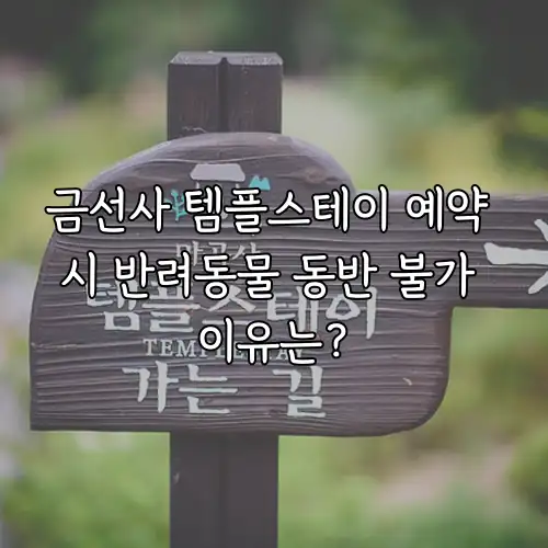 금선사 템플스테이 예약 시 반려동물 동반 불가 이유는?