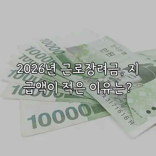 2026년 근로장려금, 지급액이 적은 이유는?