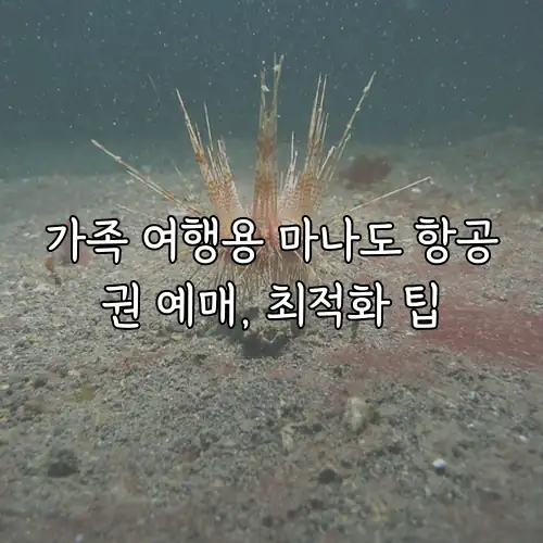 가족 여행용 마나도 항공권 예매, 최적화 팁