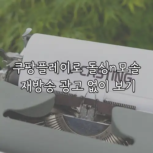 쿠팡플레이로 돌싱n모솔 재방송 광고 없이 보기