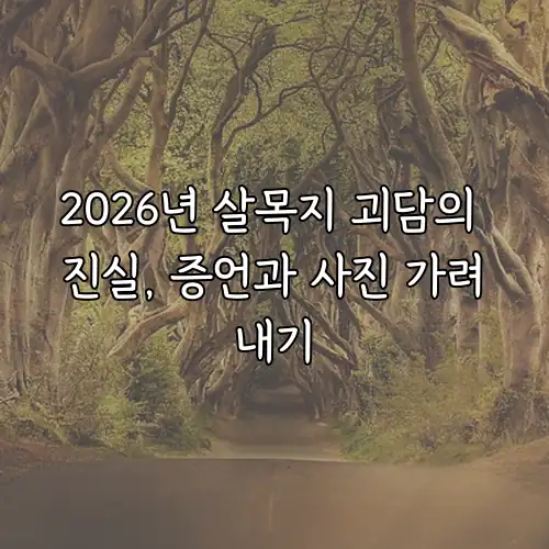 2026년 살목지 괴담의 진실, 증언과 사진 가려내기