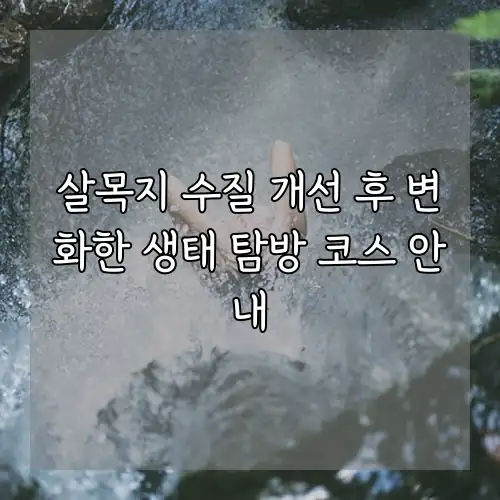 살목지 수질 개선 후 변화한 생태 탐방 코스 안내