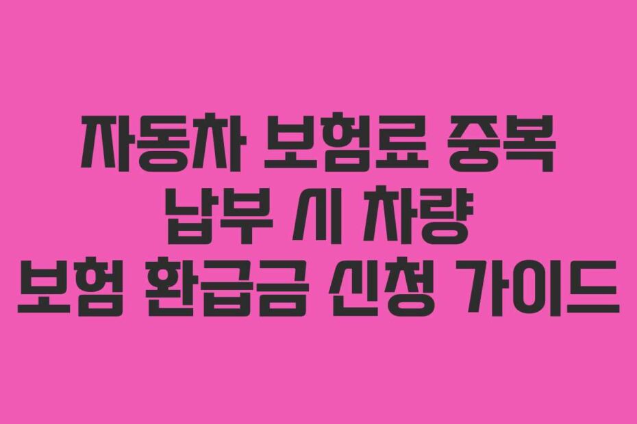 자동차 보험료 중복 납부 시 차량 보험 환급금 신청 가이드