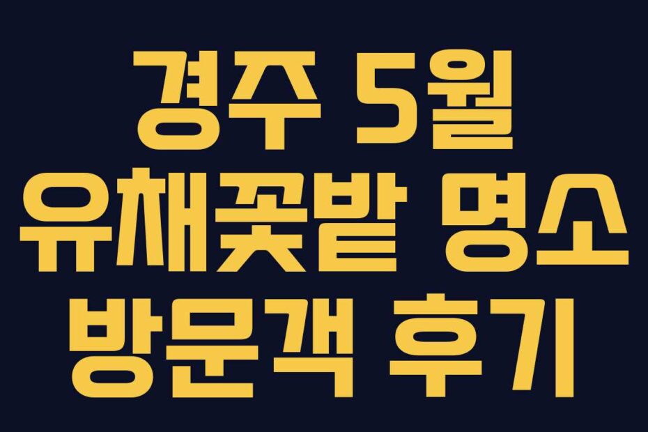 경주 5월 유채꽃밭 명소 방문객 후기