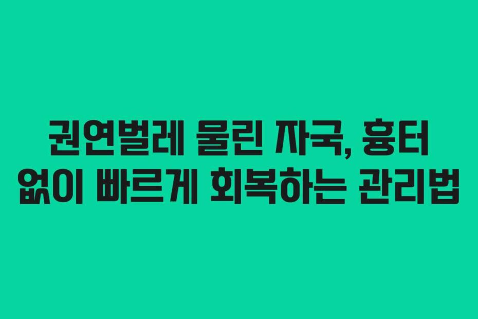 권연벌레 물린 자국, 흉터 없이 빠르게 회복하는 관리법