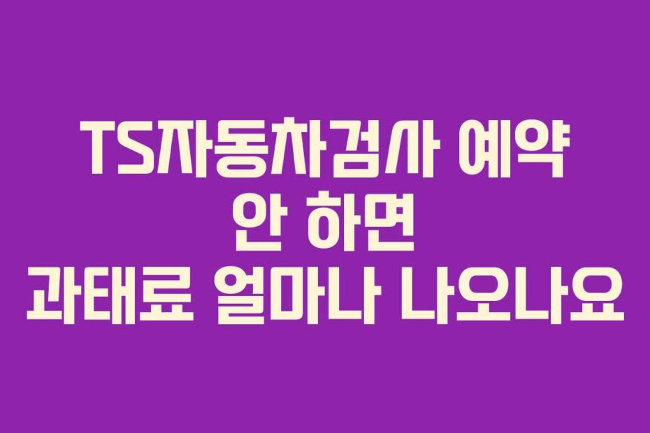 TS자동차검사 예약 안 하면 과태료 얼마나 나오나요