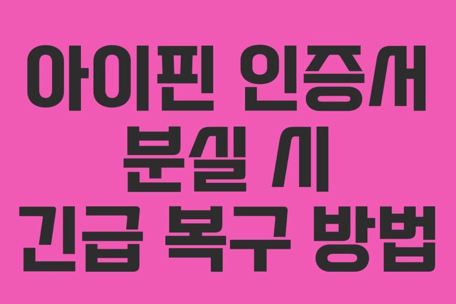 아이핀 인증서 분실 시 긴급 복구 방법