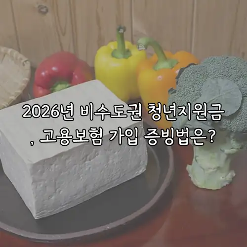 2026년 비수도권 청년지원금, 고용보험 가입 증빙법은?