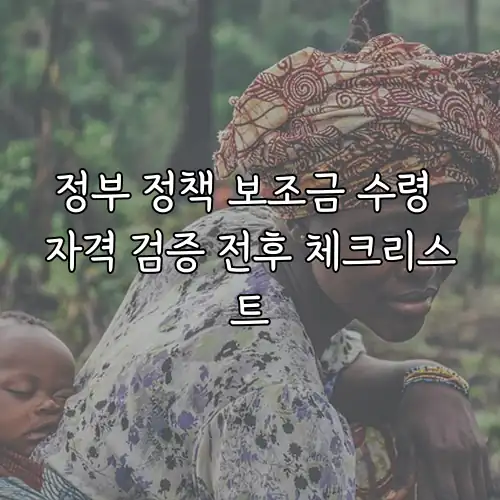 정부 정책 보조금 수령 자격 검증 전후 체크리스트