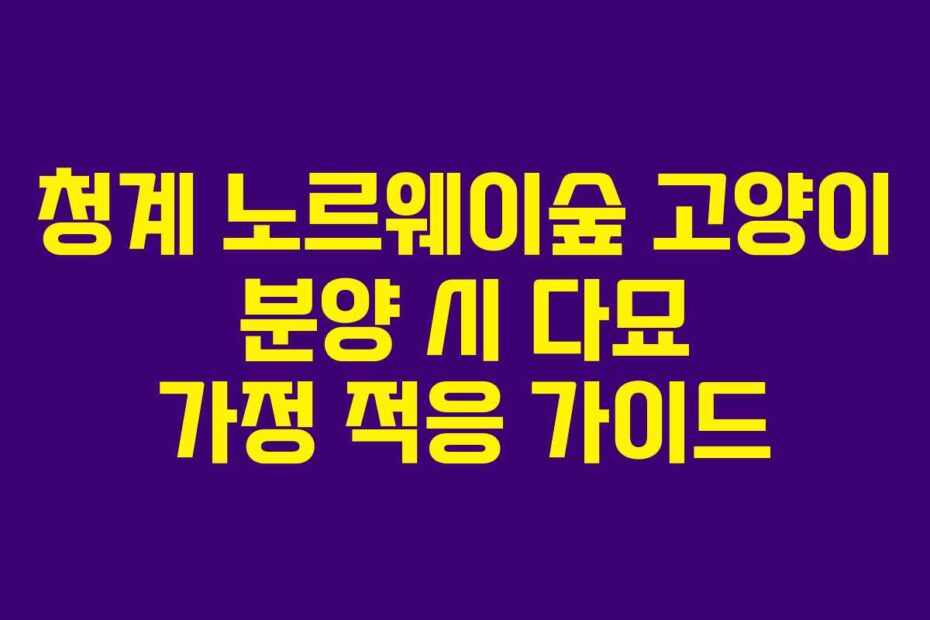 청계 노르웨이숲 고양이 분양 시 다묘 가정 적응 가이드