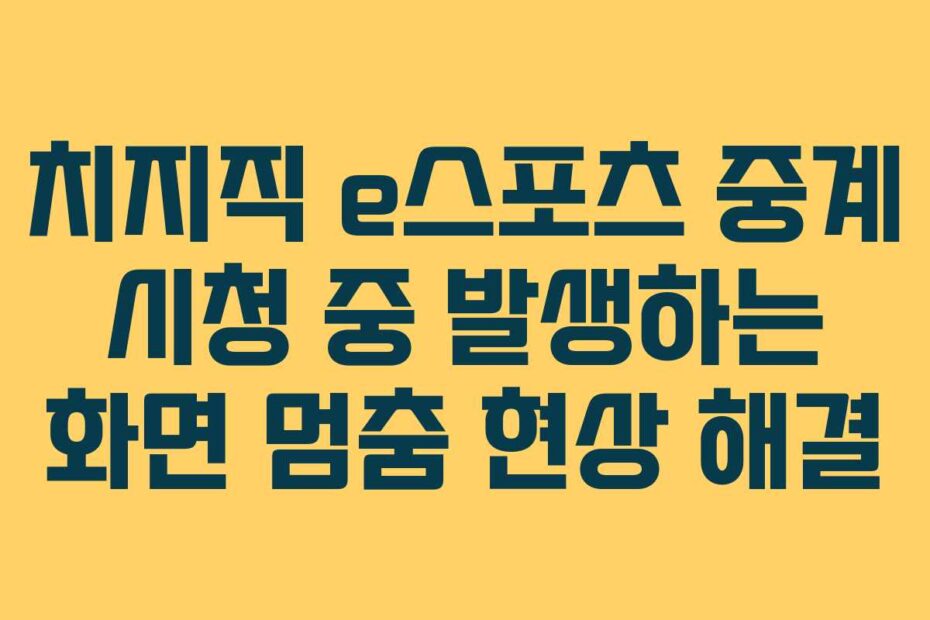 치지직 e스포츠 중계 시청 중 발생하는 화면 멈춤 현상 해결